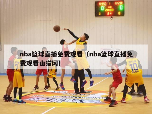 nba篮球直播免费观看（nba篮球直播免费观看山猫网）