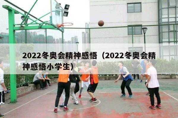 2022冬奥会精神感悟（2022冬奥会精神感悟小学生）