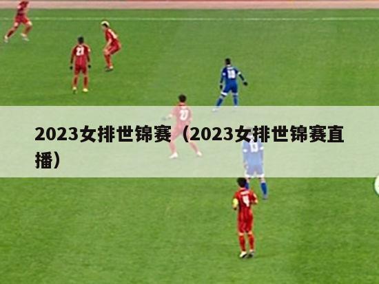 2023女排世锦赛（2023女排世锦赛直播）