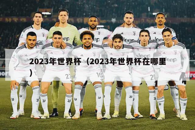 2023年世界杯（2023年世界杯在哪里）