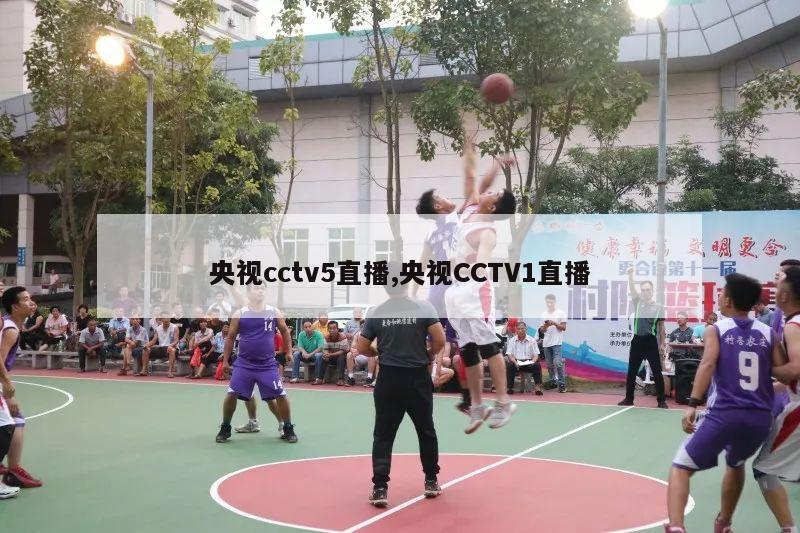 央视cctv5直播,央视CCTV1直播