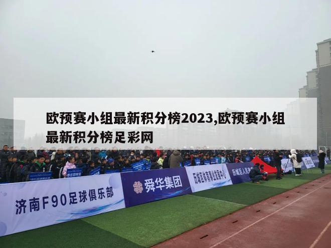 欧预赛小组最新积分榜2023,欧预赛小组最新积分榜足彩网