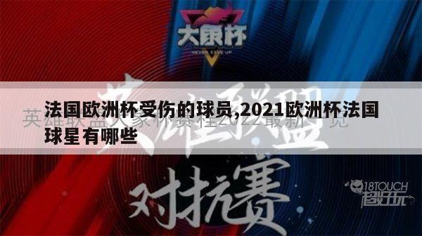 法国欧洲杯受伤的球员,2021欧洲杯法国球星有哪些