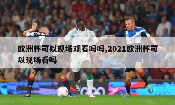 欧洲杯可以现场观看吗吗,2021欧洲杯可以现场看吗